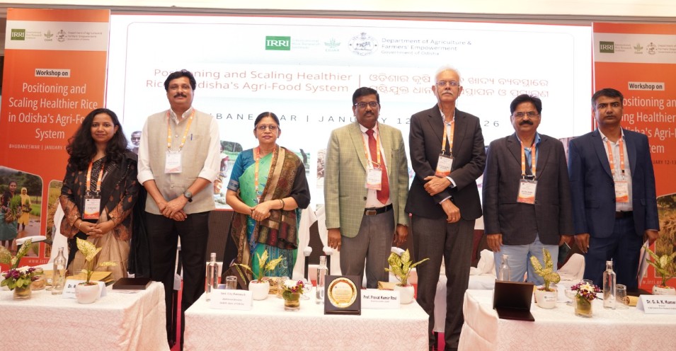 From Labs to Lunch Plates: National workshop charts roadmap to scale healthier rice in Odisha