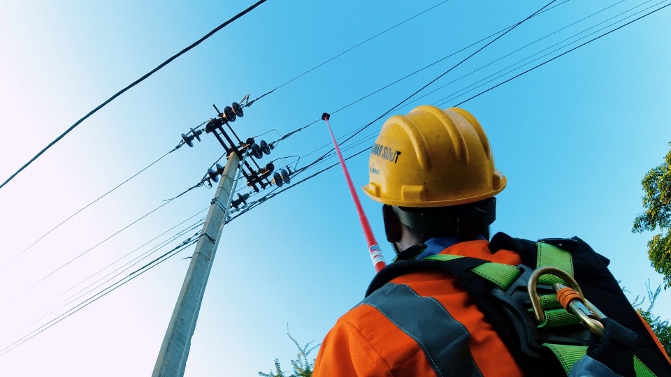 TPNODL earns A+ national ranking, emerges as Odisha’s top power distributor