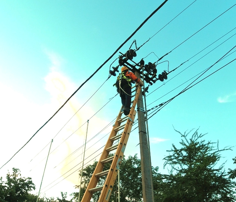 TPNODL steps up electrical safety drive ahead of summer, urges public vigilance