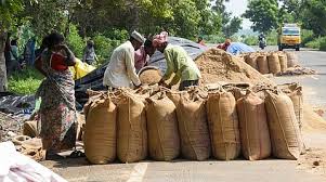394 women SHGs engaged in paddy procurement across Odisha