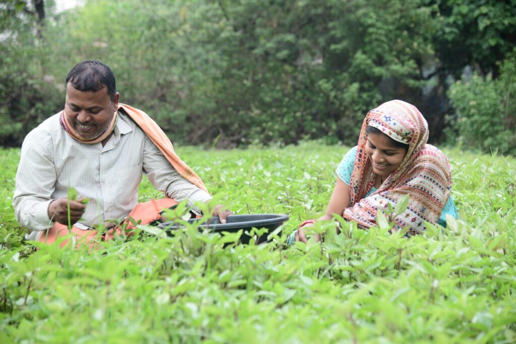 Vedanta Aluminium’s VedGram transforms rural landscape in Jharsuguda with sustainable farming and livelihood growth