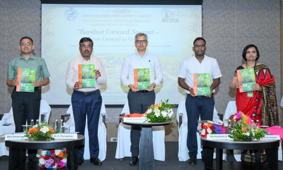 Odisha positions bamboo as a catalyst for green industrial growth
