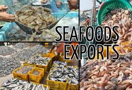 India’s Blue Economy Surges Ahead: ₹39,272 crore investment drives record growth in fisheries and seafood exports