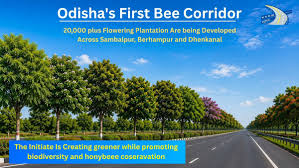 NHAI to create Odisha’s first Bee Corridor along highways to boost biodiversity and green cover