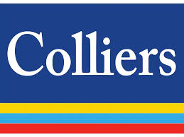 India emerges as APAC’s strategic growth engine in AI, talent and sustainable real estate: Colliers