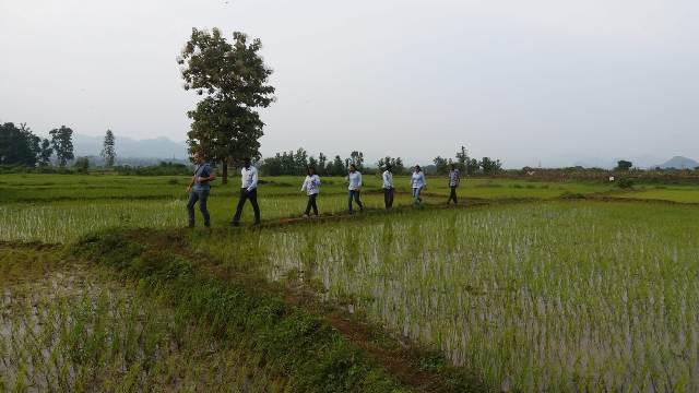 Vedanta Aluminium’s green mission gains momentum with massive plantation drive in Sijimali Region
