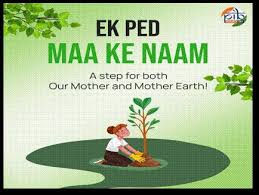 World Environment Day 2026: The Trees Nobody Could Account For