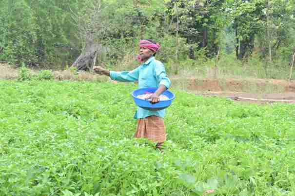 Vedanta’s ‘Project VedGram’ sows prosperity, strengthens rural livelihoods in Jharsuguda