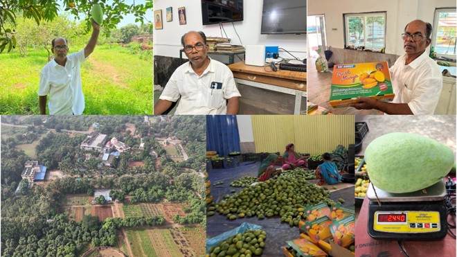 From Kapilash to Kitchens across India: JioAirFiber helps Odisha’s organic mangoes reach 10 States