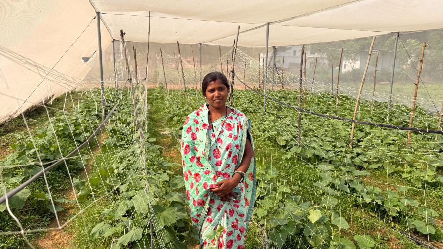 From Farm to Enterprise: TPWODL’s ‘Project Sakshama’ cultivates women entrepreneurs and rural prosperity in Western Odisha