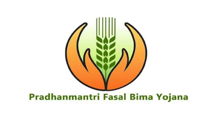 Odisha rolls out free crop insurance for up to 5 acres under PMFBY Kharif 2026