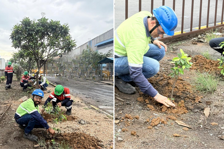 Vedanta Aluminium strengthens green footprint with statewide Van Mahotsav 2026 drive