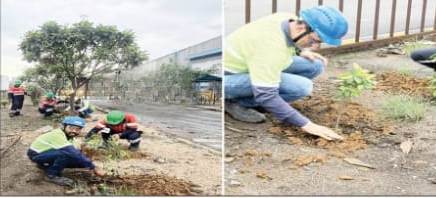 Vedanta Aluminium’s Van Mahotsav drive plants seeds of a greener Odisha