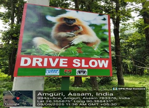 NTPC Bongaigaon supports Golden Langur conservation through Artificial Canopy Bridge Project in Kokrajhar