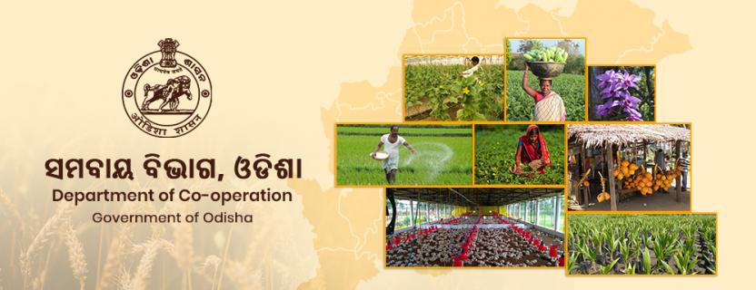 Odisha has 8,667 cooperative societies, 8,063 functional: Centre