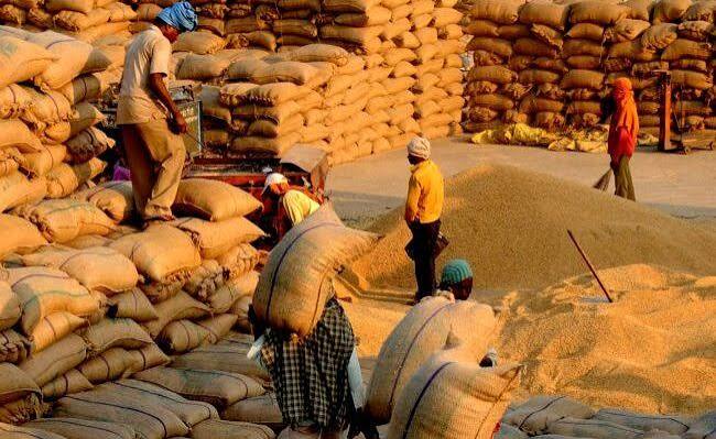 Over 1 lakh Odisha farmers register in a day for Kharif paddy procurement