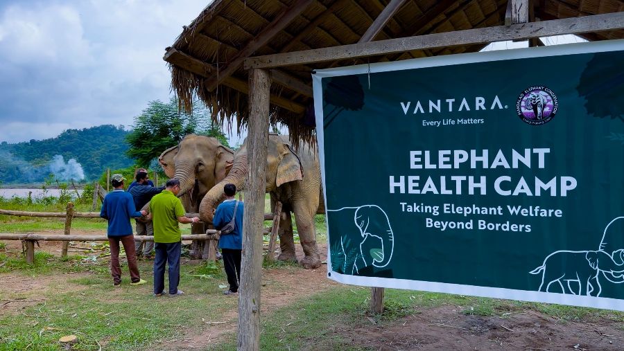 Laos gets elephant lifeline as Mandalao, Vantara join hands for rescue, veterinary care and conservation