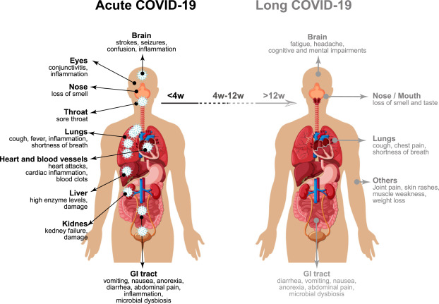 Lung, mouth bacteria linked to severe long Covid: Study