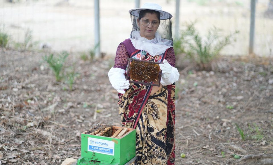 From Beehives to Better Livelihoods: Vedamrit empowers rural farmers in Jharsuguda